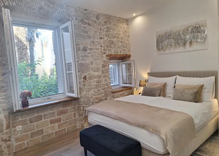 Cor Cordis 扎达尔