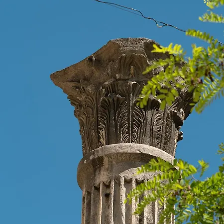 Cor Cordis Διαμέρισμα